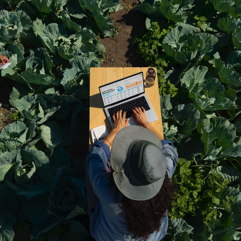 На фото изображено Apple MacBook Pro 14" (M5 Pro, 15C / 16C, 2026) 24 ГБ, 1 ТБ SSD, серебристый